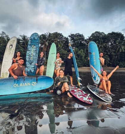 8801703A-95FA-4584-8A65-93F6095A6FF6